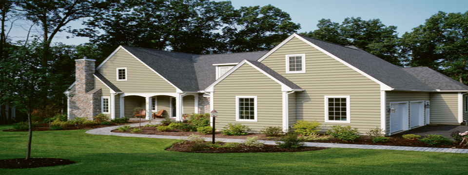 Windows & Siding